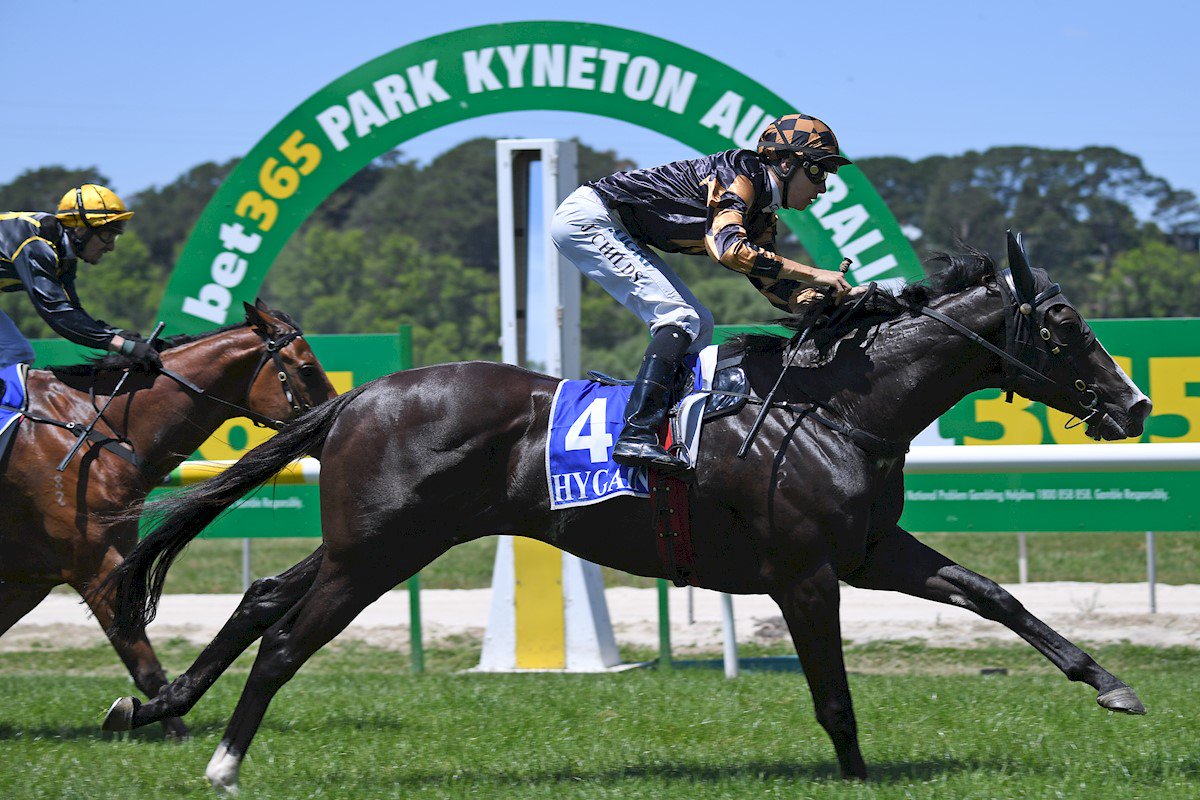 GrandSyndicates's tweet photo. #StableWatch Sound The Trumpet looks well placed on Monday at Mildura to make it back to back wins for Dean Krongold!
#DrawnWell #InForm https://t.co/9Rgv8QQ9tZ