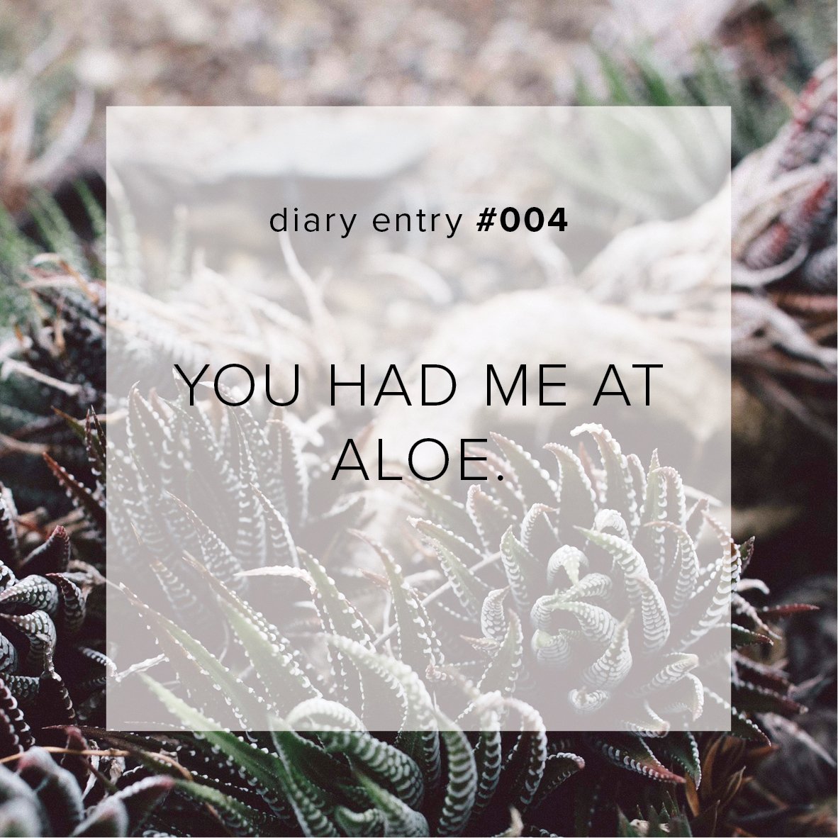 Herbs & Heart (@HerbsnHeart) / Posts / X