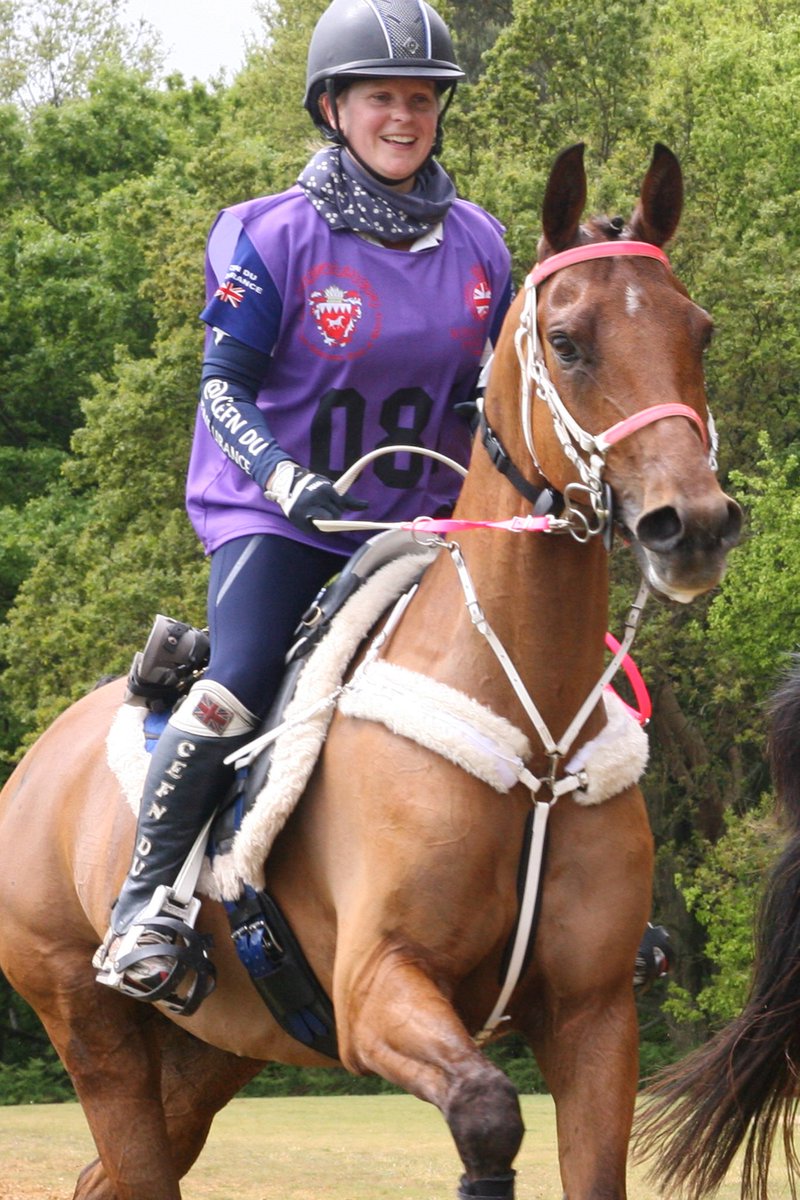 GHirst01's tweet photo. Vlacq Journeyman on the 2nd loop in the CEI* 80km at Royal Windsor to come 8th! @PureFeed @forgepr #feedpure #onamission 💕🐎💕 https://t.co/iCeZ14uF0D