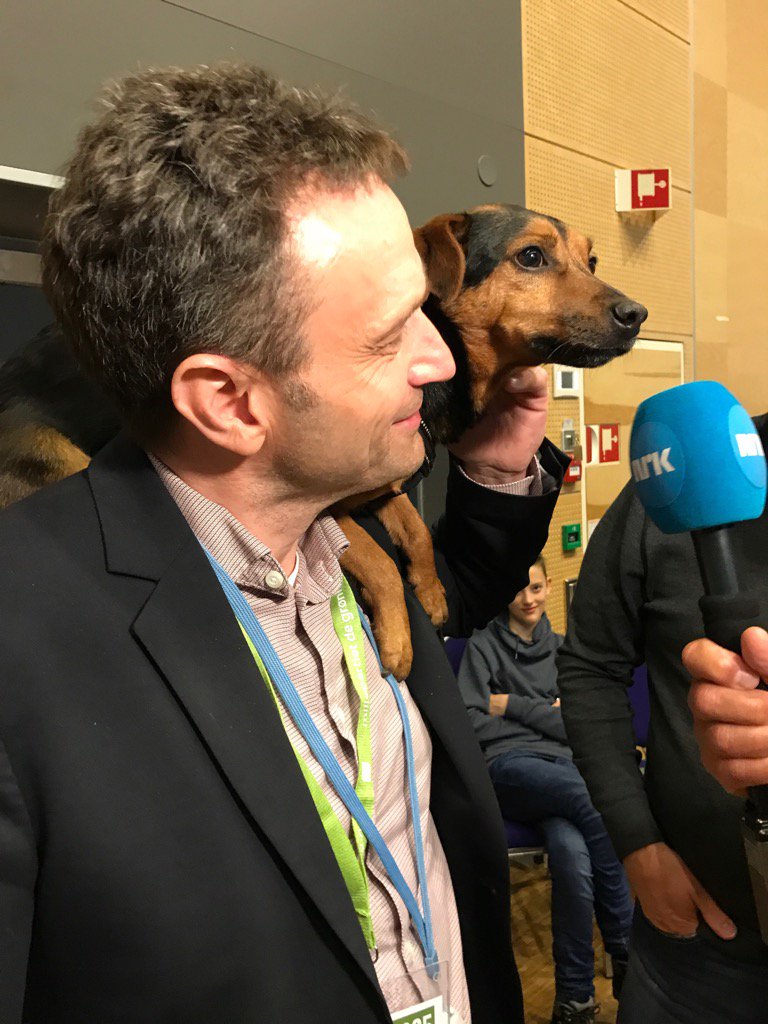Du vet du er på #mdglm når #nrk intervjuer en hund. Og <a href="/arildhermstad/">Arild Hermstad</a>
