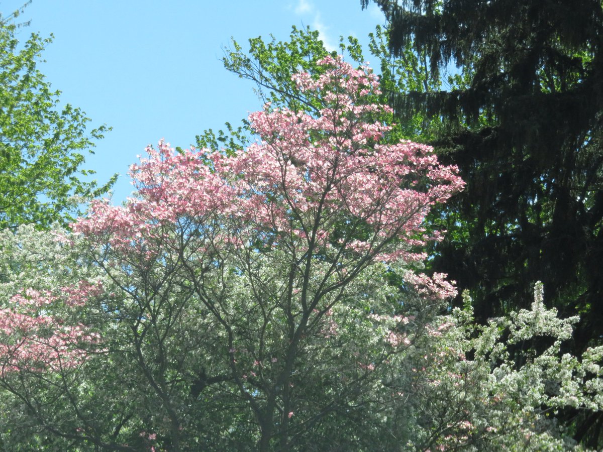 PLKlein_Author's tweet photo. "They never taste who always drink;
They always talk who never think." ~ #MatthewPrior #QuickQuotes #Taste #Drink #Talk #Think https://t.co/GDd4Zx5Z4w