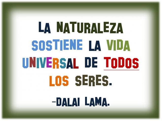 J__Toruno's tweet photo. La naturaleza sostiene la vida...
#CambioClimatico
#medioambiente https://t.co/NOaMto6Iue