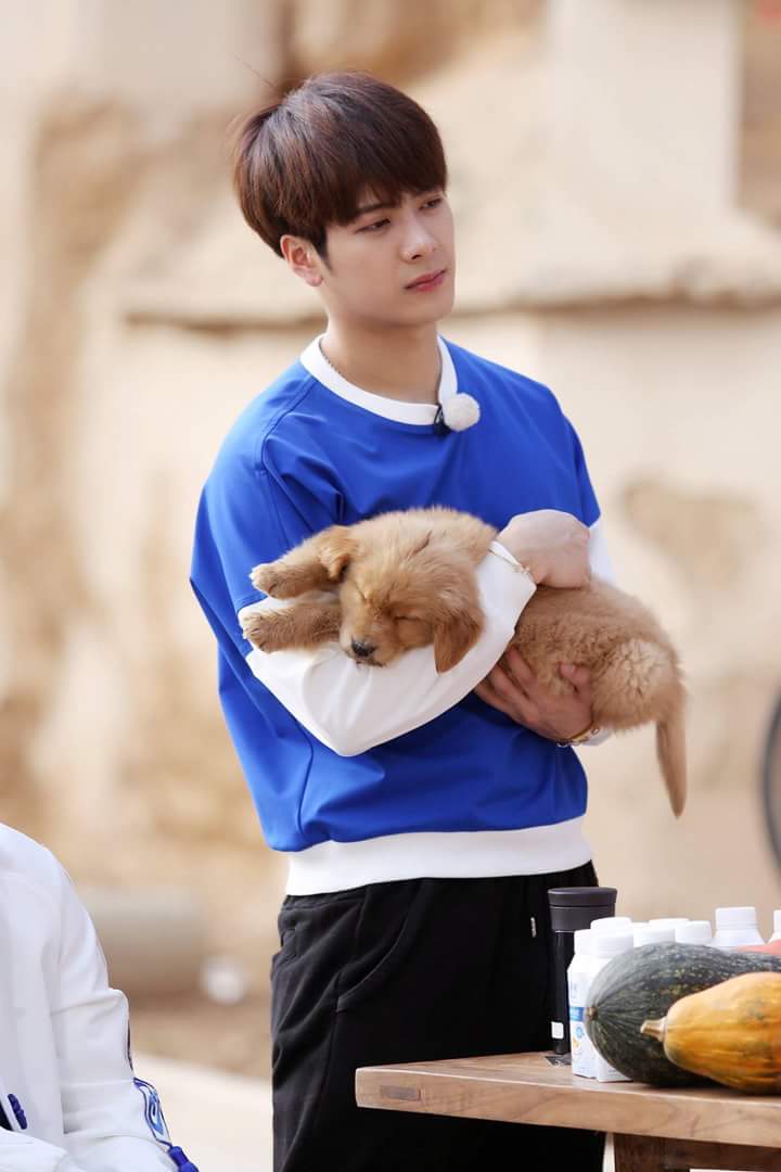 ชอบเฮียอ่ะ #ตมเกาหลี  #JacksonWang #Got7thailandtour