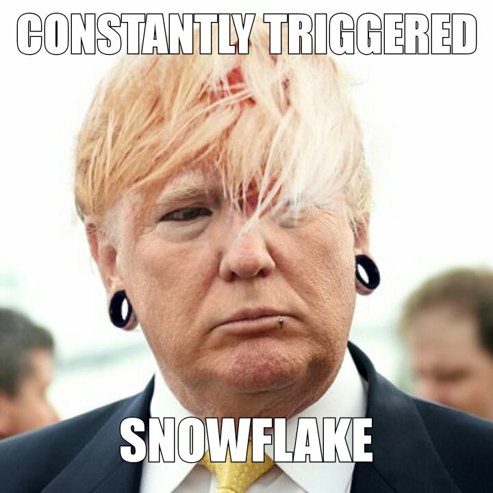 Cheyonce91's tweet photo. @realDonaldTrump #triggered #snowflake #unfair #hypocrite #jfk #centralpark5 #whereismaria #emotrump #trumpmeme #sensitive #russia awe https://t.co/pdPgYzFNWw