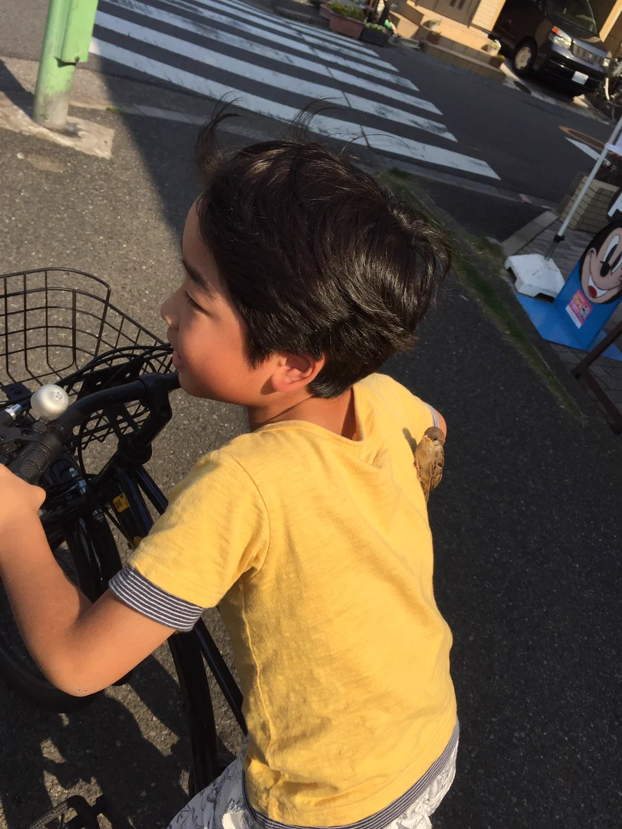 間違えちゃった！？かわいい雛鳥を肩に乗せる少年w