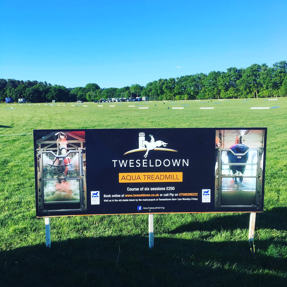 Tor Fenwick Dressage tweet media