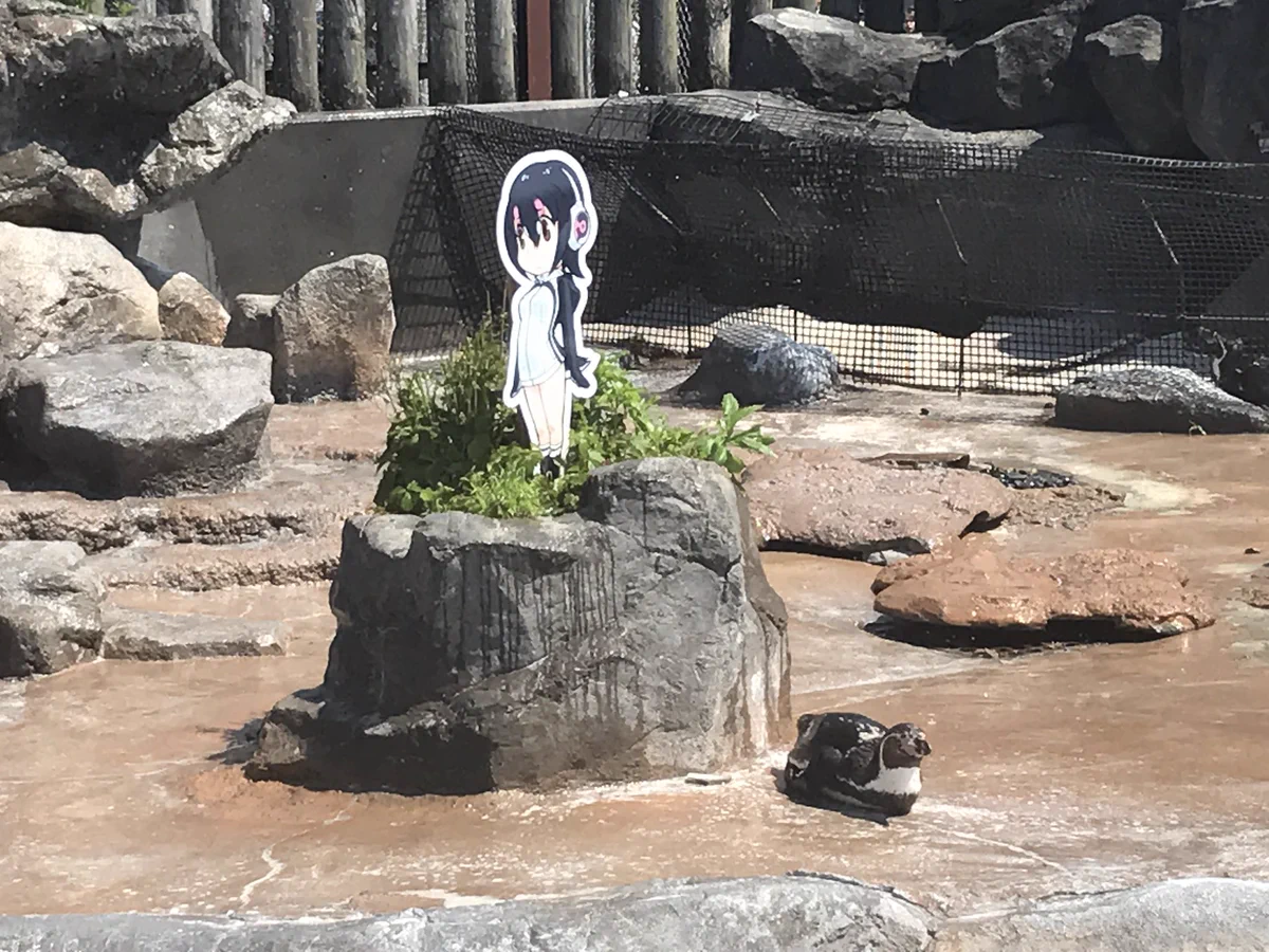 恋するペンギンとして一躍有名になったグレープくん！辛すぎる過去と現実を背負っていたことが判明ｗｗｗ