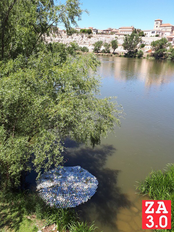 Zamora3punto0's tweet photo. La FRAH coloca un gran “nenúfar biorremediador” en el Duero
@fundareiafonso 
https://t.co/4WdQHoGHd3 https://t.co/h6n2sbodQz
