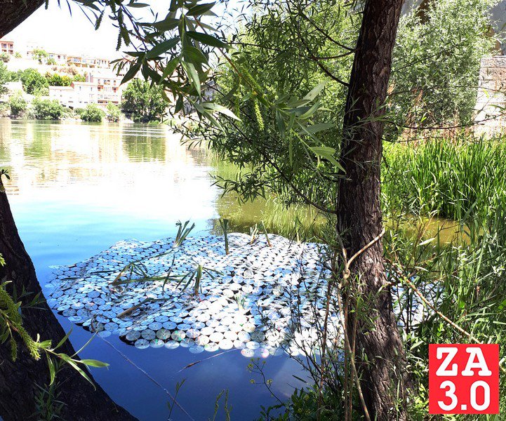 Zamora3punto0's tweet photo. La FRAH coloca un gran “nenúfar biorremediador” en el Duero
@fundareiafonso 
https://t.co/4WdQHoGHd3 https://t.co/h6n2sbodQz