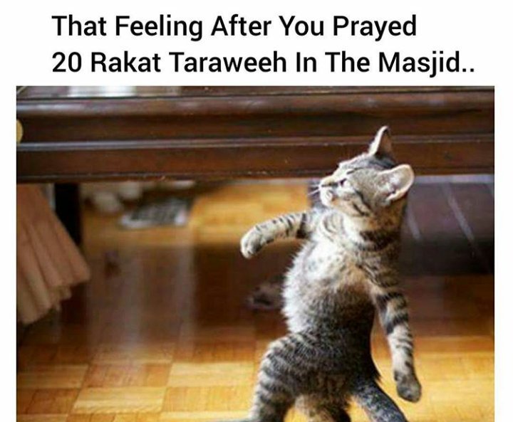 HalalMemes01's tweet photo. I have finals in 2 days 😩😩😩 https://t.co/nWd3DUK9OF