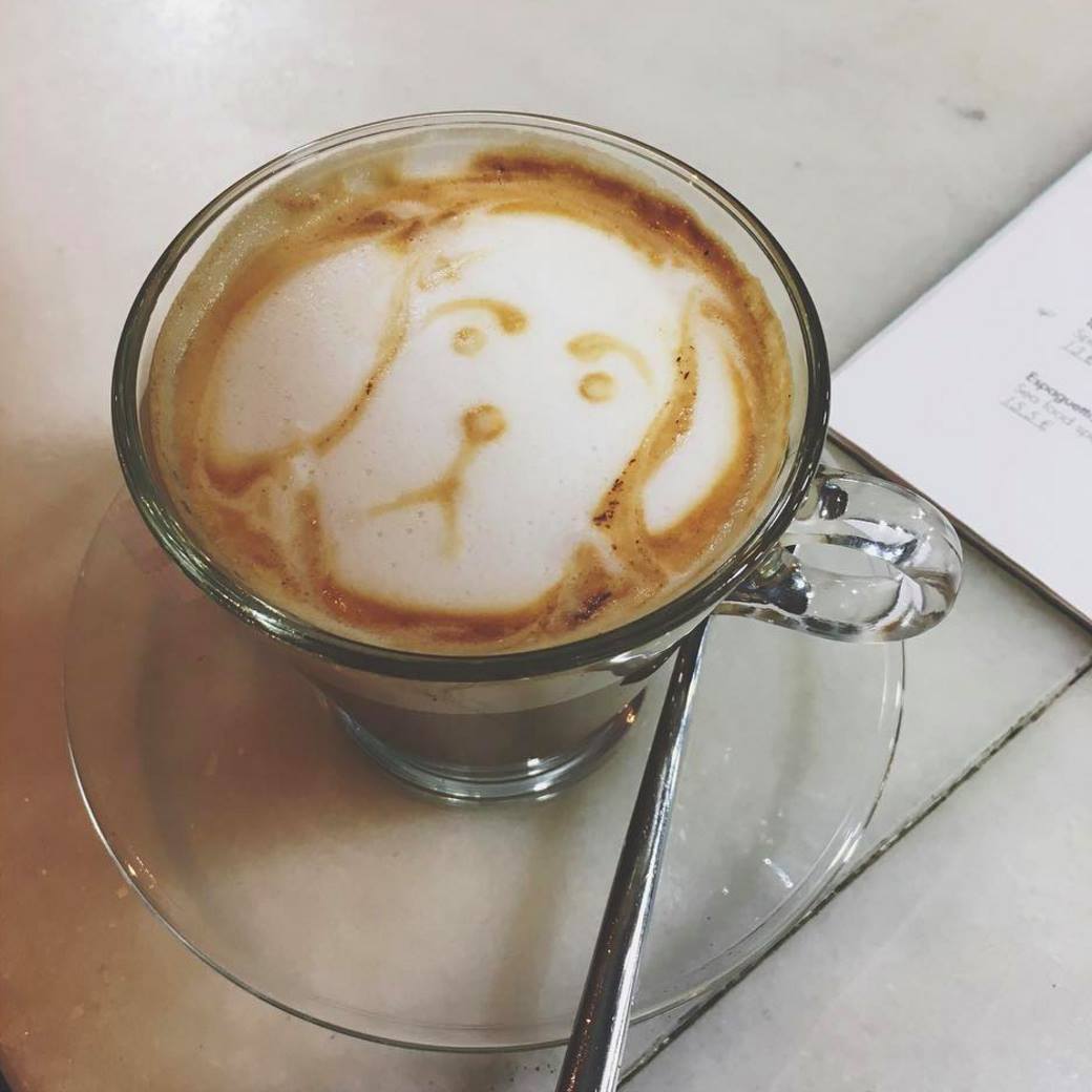 CalaBandida's tweet photo. ¿Sabías que tu mejor amigo siempre es bienvenido en #CalaBandida ?
#PerosSI #YesWeCAN #Xabia #Javea
https://t.co/fja4w9aAka https://t.co/mAgANhZnUF