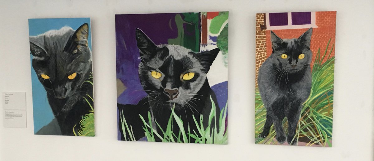 art_wellbeing's tweet photo. Homage to Misty the Cat by Stephen Hawthorne @shatnerrr . Part of Beloved at The Wellbeing Gallery open every weekend in May 1-5pm. https://t.co/wurb1qxbOc