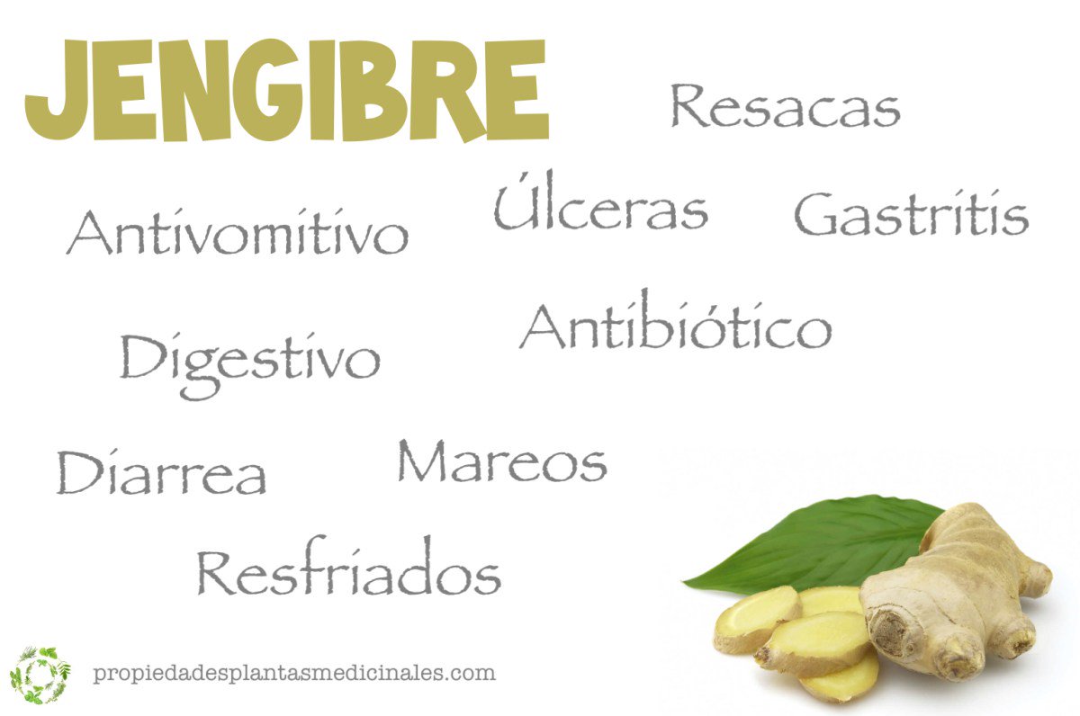 propiplantas's tweet photo. 😖😩¿Te pasaste anoche con las copas? Guarda siempre en tu despensa el #jengibre #plantasmedicinales #resaca  ➡️➡️ https://t.co/CVfyN8v49d https://t.co/Uc5CtZiQOy
