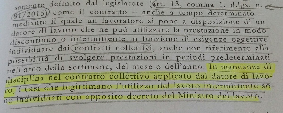 Roberta Orfello tweet media