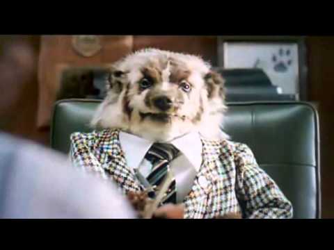 _krato_'s tweet photo. @hardingdebbie @JojoannWarsawPL @Jave2U @Inner_Zen Be careful the #Badger doesn't become the #Badgee ππππ https://t.co/imD92FM7DP