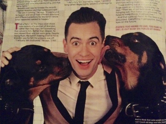 dailybeebo's tweet photo. https://t.co/9fJ1wEqLup