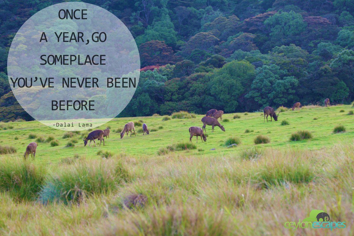 ceylon_escapes's tweet photo. #Travel #weekend #holiday #ceylonescapes #srilanka https://t.co/yiZG9Ljphs