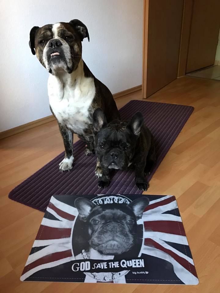 bigbuddy_eu's tweet image. Unsere #godsavethrqueen Futtermatten sind jetzt auch auf #ebay erhältlich: goo.gl/Cfoajo #hunde #dogs #shoppingqueen 🐶