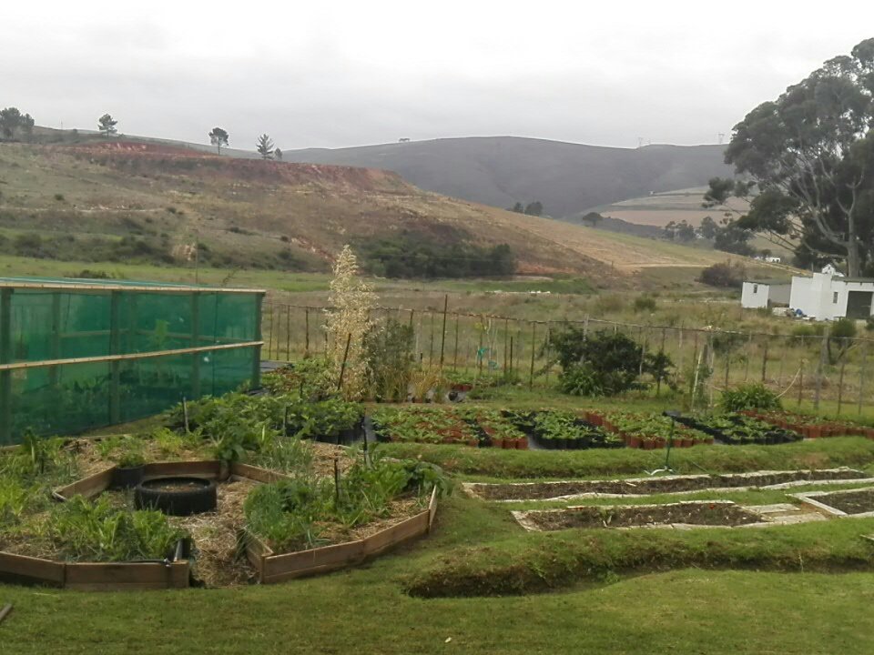 alfra_cox's tweet photo. Saturday morning @thegreenhouse in #Botrivier https://t.co/YhPyiXgK3Y