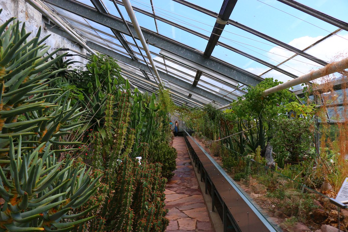 CaroMBK's tweet photo. Another favourite place of mine: The Botanical Garden https://t.co/hKdogMk1qv #NaturalHistoryDk  #statensnaturhistoriskemuseum #botaniskhave https://t.co/PuMjFUsRs3