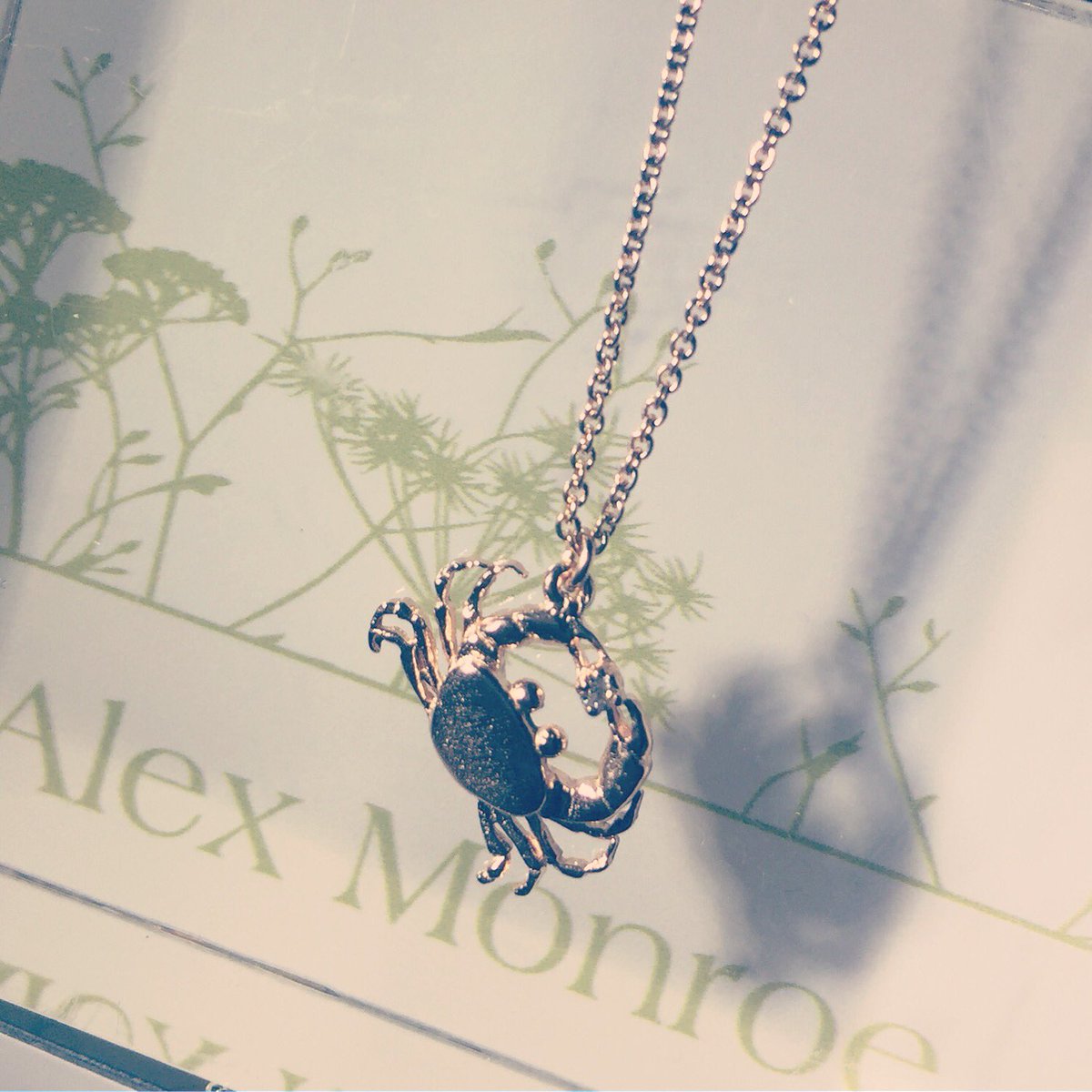 This little guy from our new Alex Monroe range is a perfect addition to any outfit during this weekend's #crabandlobsterfest