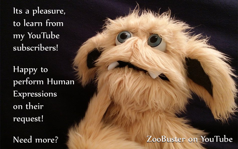 ZooBuster's tweet photo. WOW! New #ZooBuster Video!
Watch it Now: https://t.co/D3CztdqANJ
#muppets #sesamestreet #humor #tuesdaymotivation #jokes #funny #youtube https://t.co/0YvLwbxpMJ
