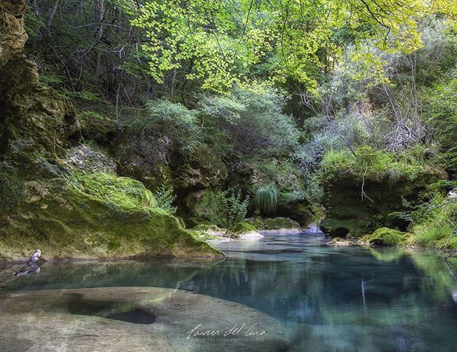 VisitNavarra's tweet photo. Los #colores únicos del nacimiento del #Urederra... que solo podrás disfrutar con reserva: https://t.co/efrScE1PWN @javier_del_cura / Inst. https://t.co/xgVGiMZyF7