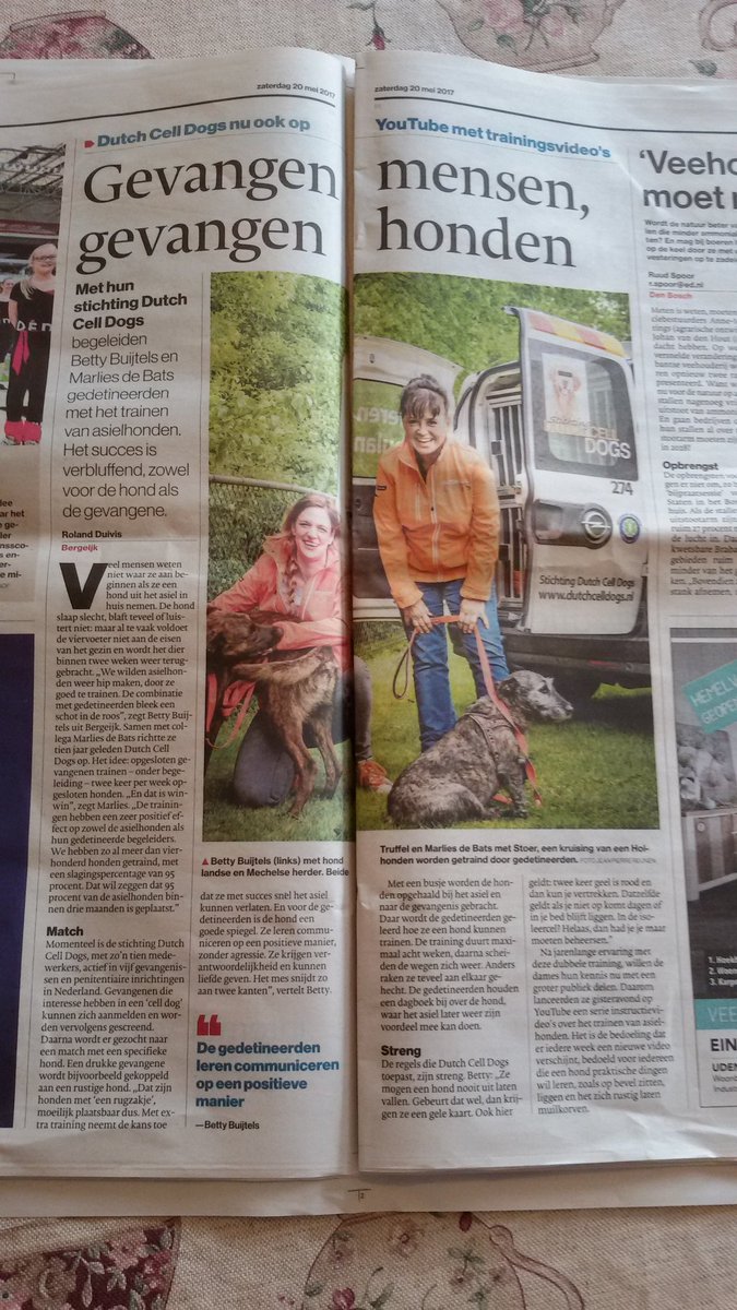 Marianne_en_God's tweet photo. De trainingen hebben een zeer positief effect op zowel de asielhonden als hun gedetineerde begeleiders. #ED ~ vandaag #DutchCellDogs https://t.co/ykOdT0x3xf