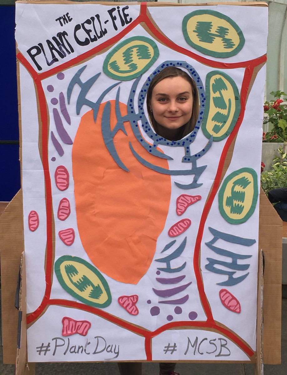 EditaLileikyte's tweet photo. #BotanyLive @GlasgowBotanic come celebrate all things #PlantDay https://t.co/I70LC88Mq5