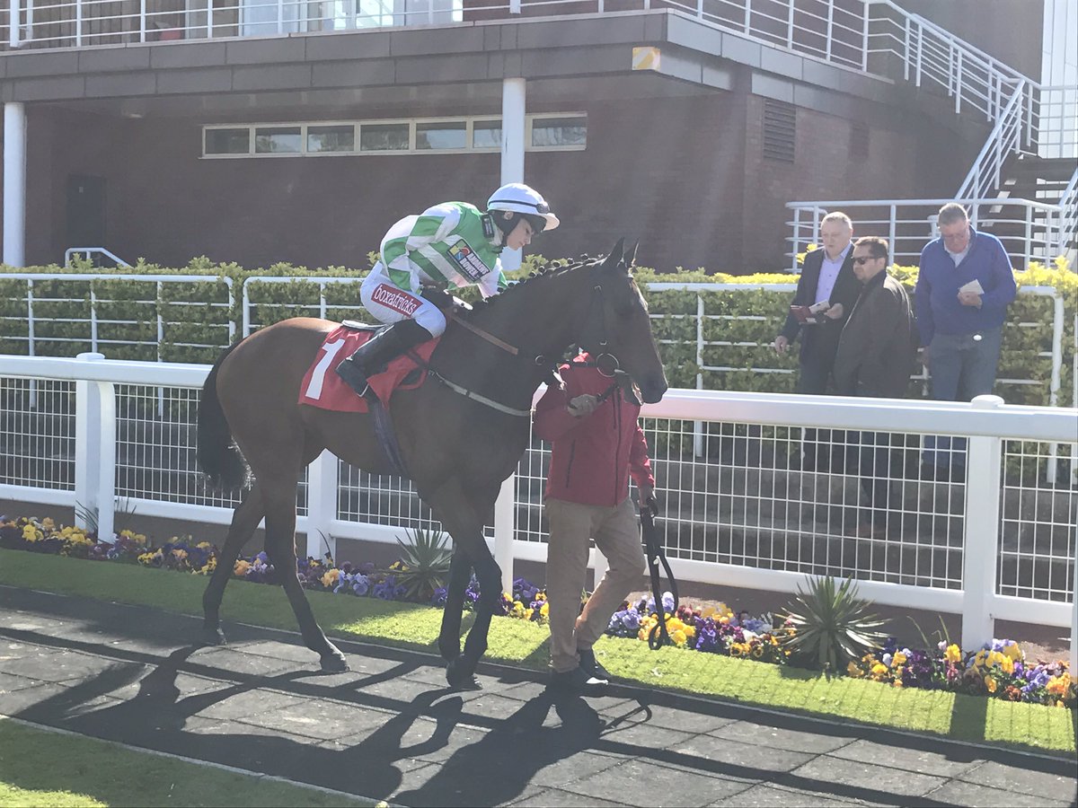 gallop_racing's tweet photo. Hoping for an across the card double @ThirskRaces @DoncasterRaces @omeararacing shares available in both #dandyleekie #fieldsman https://t.co/aevaKsWL2h