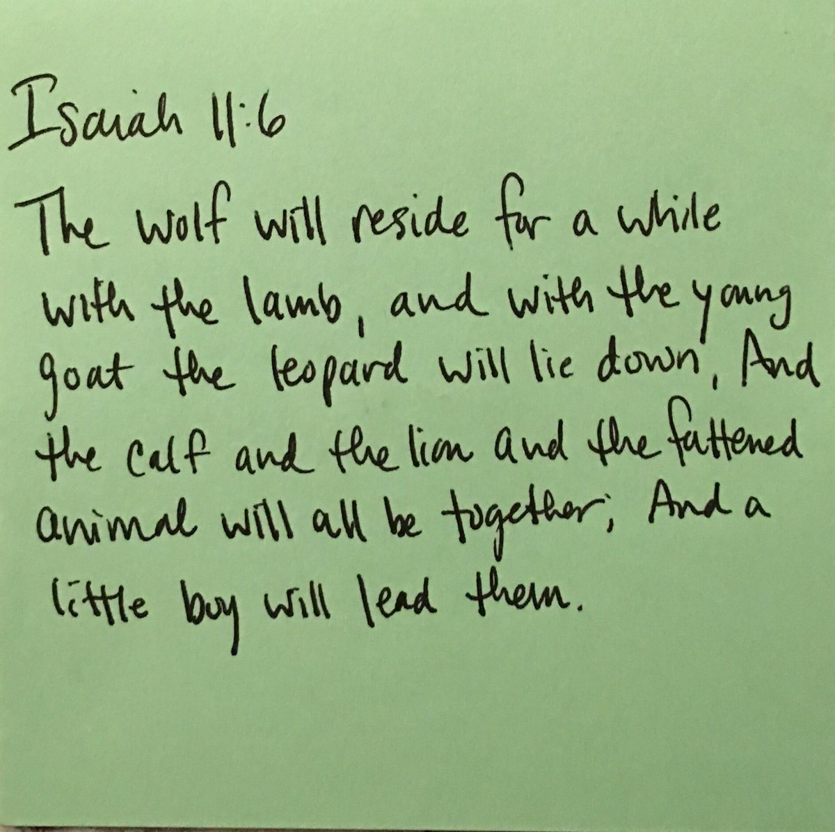 Gl0ryToG0d's tweet photo. #Jehovah's #will will be done, &amp; #God's #originalpurpose for the #earth and #mankind will #nodoubt be #fulfilled. https://t.co/s0IXVcX91u https://t.co/S5Ni3YHhCE