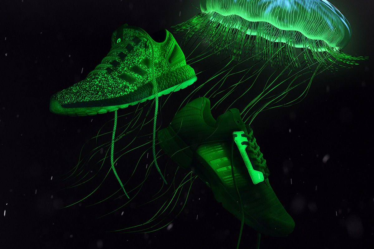 Trenzing Content Creator Community