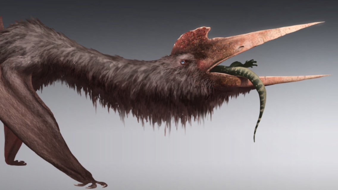 realscarynature tweet picture