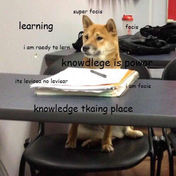 yulichonline's tweet photo. Это ученая собака🐶🐕
Рт,если хочешь быть умным 😪🤓🙃
#learning #exsam #knowledgeispower https://t.co/zSOxiMQuuH