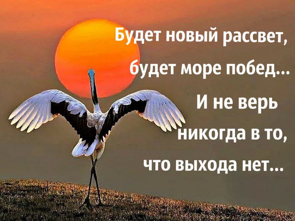 Лев Москалев (@lmosk02) on Twitter photo 