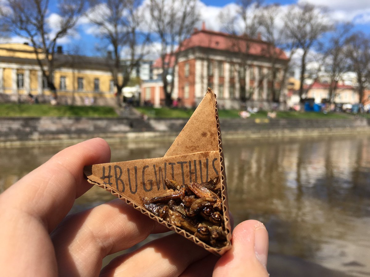 peternomad's tweet photo. #bugwithus #startupabo https://t.co/Dkdd5jJpLu