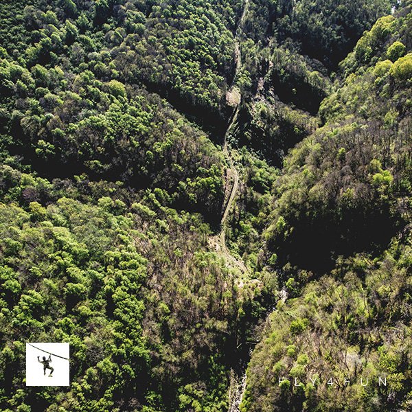 LMZipline's tweet photo. VOLO BIS?! 🚀 ✈️
Se il calendario giornaliero lo consente è possibile farlo ad un prezzo speciale! 
(20€ singolo/40€ coppia)
#LMZipline https://t.co/uXXdxcI7dO