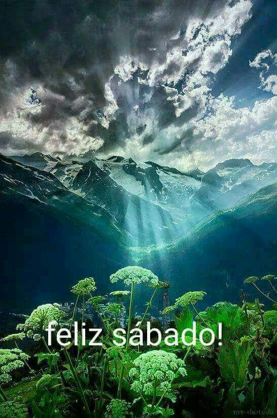 JCSMascarenhas's tweet photo. https://t.co/UOLclgWurM