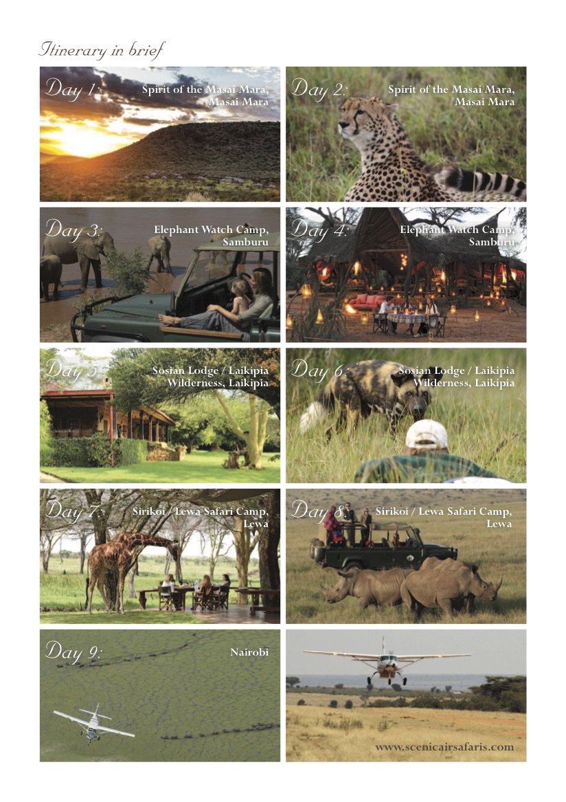 SenAirSafari's tweet photo. #scenicairsafaris celebrates #EndangeredSpeciesDay with a perfect safari to support endangered wildlife and those that work to protect them https://t.co/aFpabT1YVh