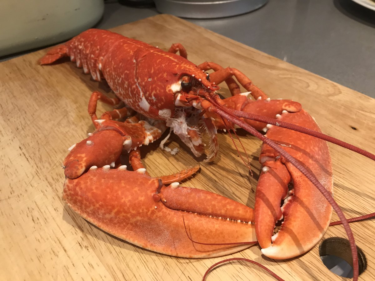 Guy Dorrell (@guydorrell1) on Twitter photo That #bouillabaisse from <a href="/chrisedwardson9/">Christian Edwardson</a> <a href="/BonnieGull/">Bonnie Gull</a> on #SaturdayKitchen looks amazing. Inspiration for our lunch! 😋👌🙌 That #bouillabaisse from <a href="/chrisedwardson9/">Christian Edwardson</a> <a href="/BonnieGull/">Bonnie Gull</a> on #SaturdayKitchen looks amazing. Inspiration for our lunch! 😋👌🙌