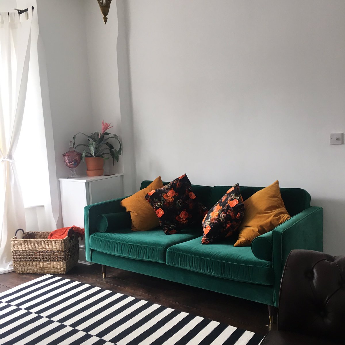 Jenn_Cordell's tweet photo. Ahh @swooneditions I couldn't be happier with our sofa purchase! 💚#SwoonEditions #GreenSofa https://t.co/MdxgGe3WIy