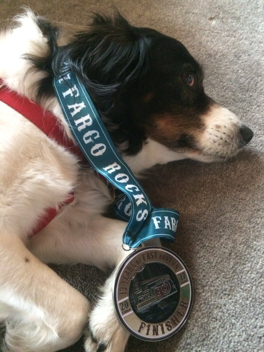 DrErinHaugen's tweet photo. It's ruff being a #RaceSherpa! #SweetMollyMixBreed #TriDog https://t.co/1osyALB6qh