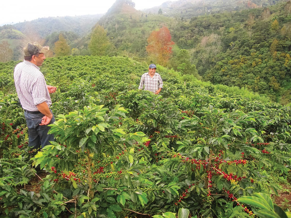 MCAD's tweet photo. Learn more about how MCAD entrepreneurial studies students collaborated with Velasquez Family Coffee (VFC) https://t.co/wnVRemXvV5 https://t.co/X2ziY9qyNB