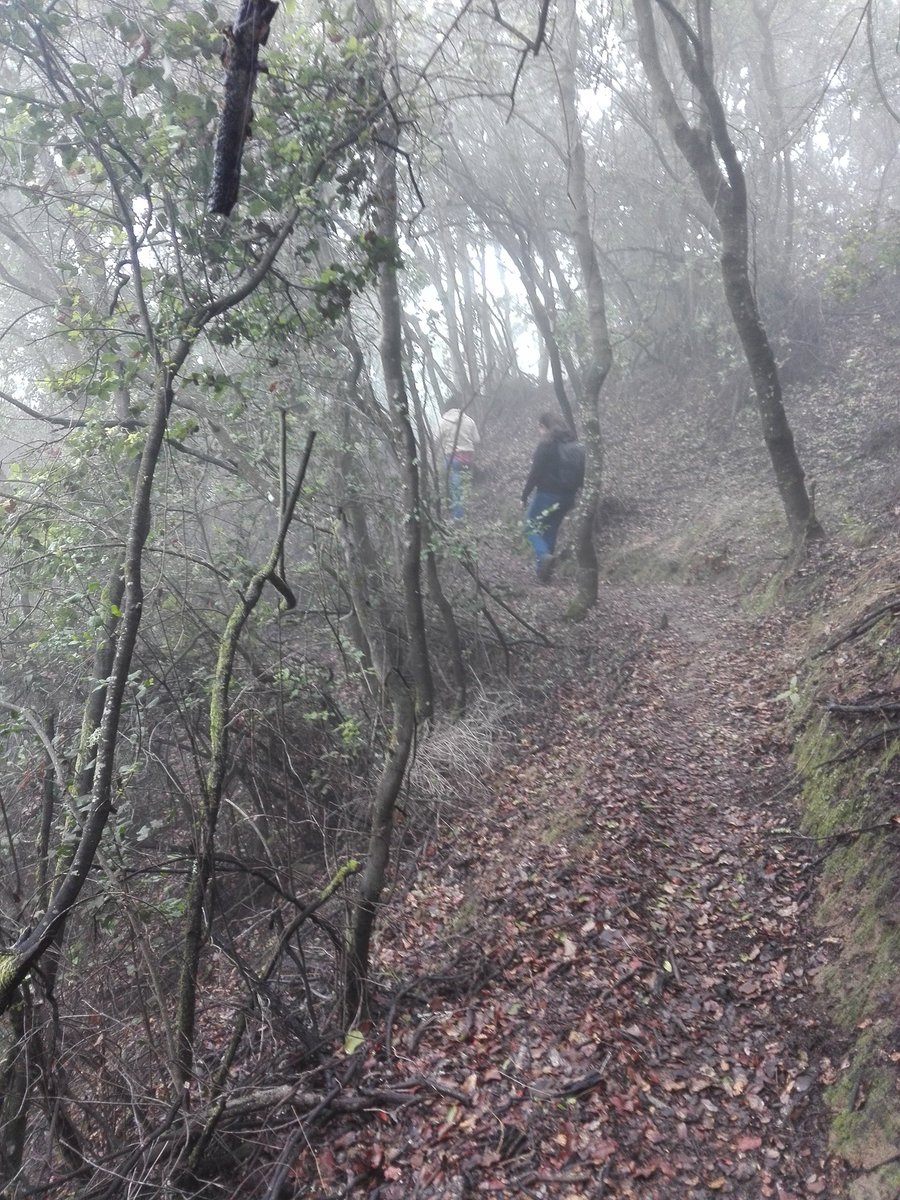 vinalaspitras's tweet photo. Enoturismo outdoor en #SenderosdeMajadilla. reservas en enoturismo@pitras.cl https://t.co/ezcY5kBIAa