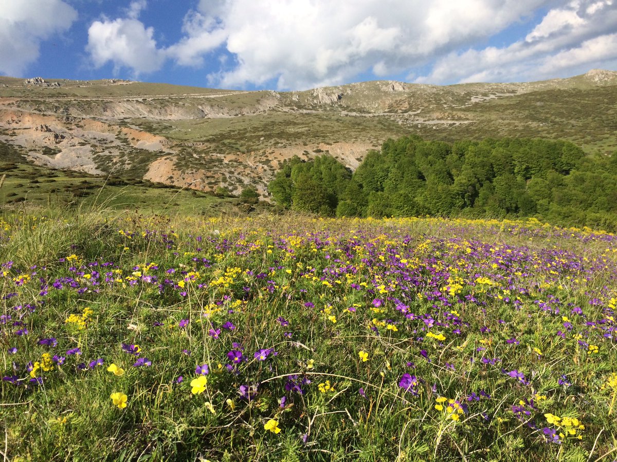 Great places to stay in #Macedonia : mountainhut Ljuboten