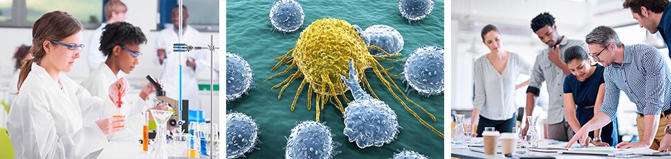 lmbennett's tweet photo. It is Cancer Research Awareness month! Research builds the knowledge we need to prevent, treat, and improve QOL for patients and survivors! https://t.co/1lZYS0gsZv