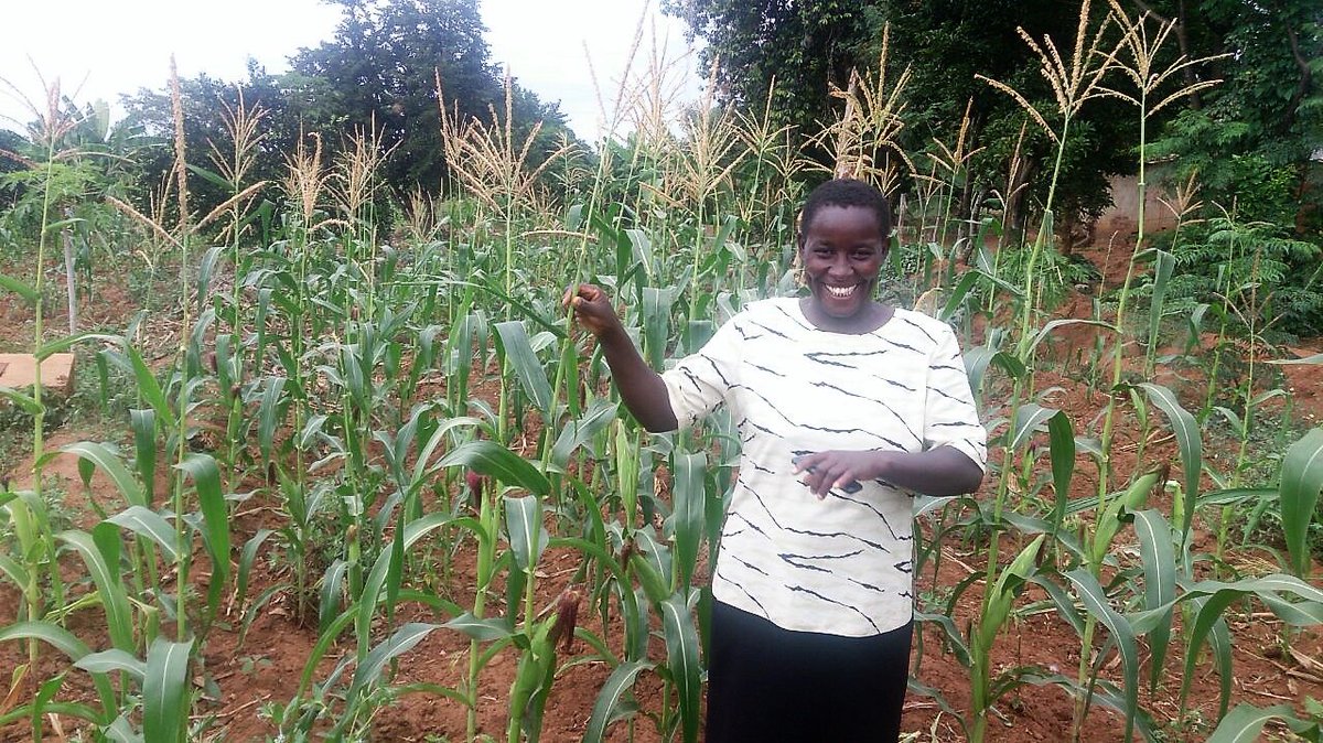 WBG_AgriFood's tweet photo. #Indexinsurance has made significant changes in the lives of #women farmers around the world https://t.co/dwQPj1Hlv4 #climatechange https://t.co/nRGMa3OYqX