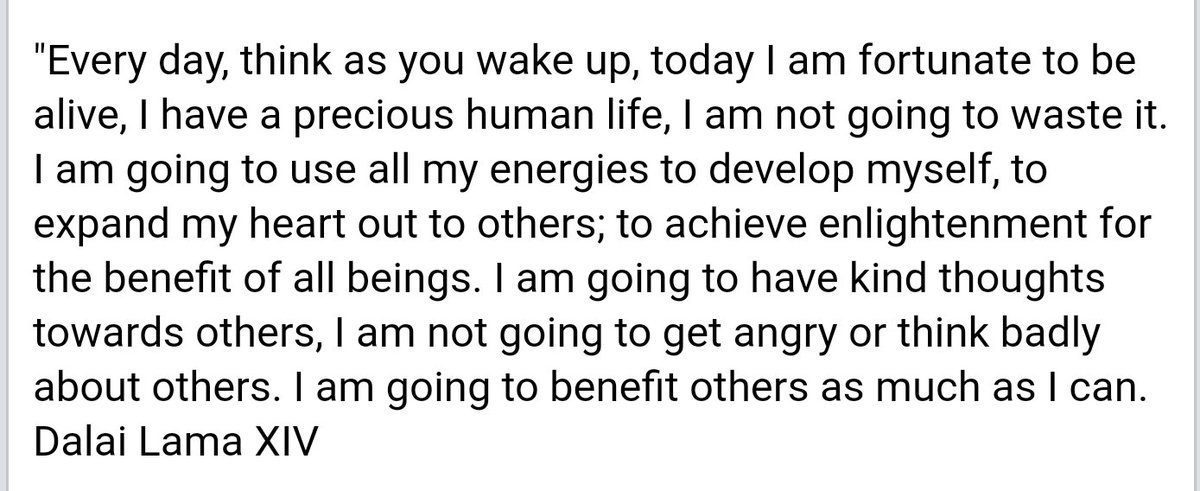 LDulmaa's tweet image. 