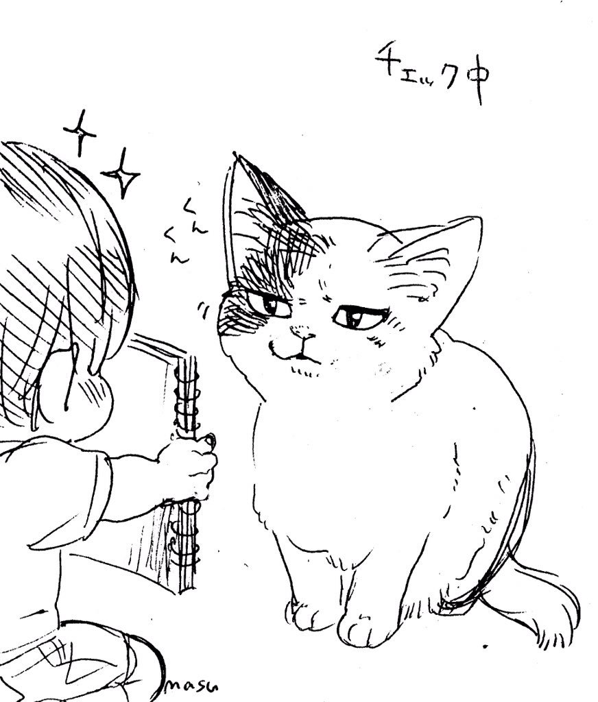 観察員のチェック 