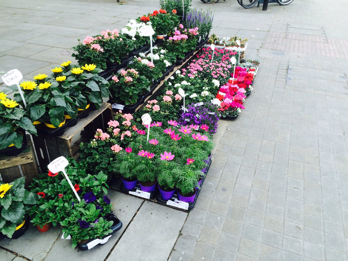 David Amos tweet media